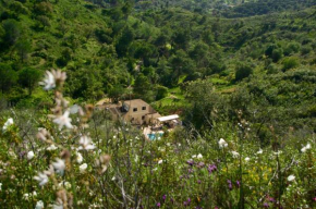 Oasis caché avec Piscine